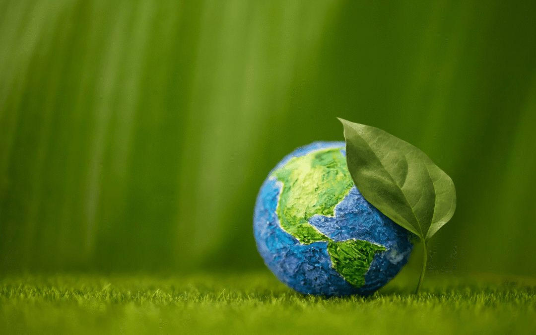 Bando energie rinnovabili